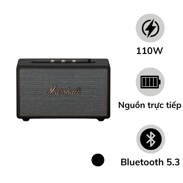 Loa Bluetooth Marshall Acton IV