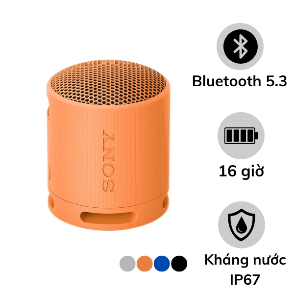Loa Bluetooth Sony SRS-XB100
