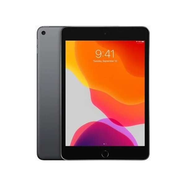 iPad mini 5 256GB Wifi
