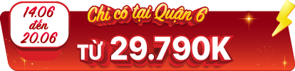 Q6 - 29.790.000 - iPhone 16 Pro Max 256GB Desert - VN New - 20 06