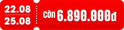 25 8 - 6,890,000 - a36