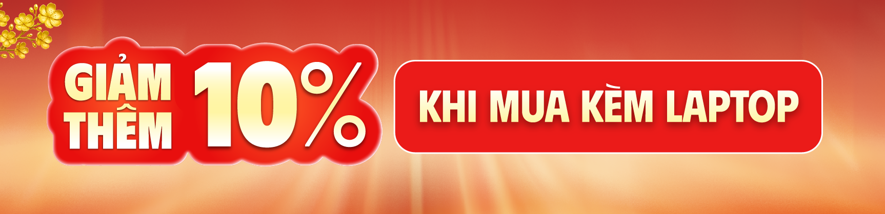 Tháng 1 : Ưu đãi giảm thêm 10% khi mua kèm laptop
