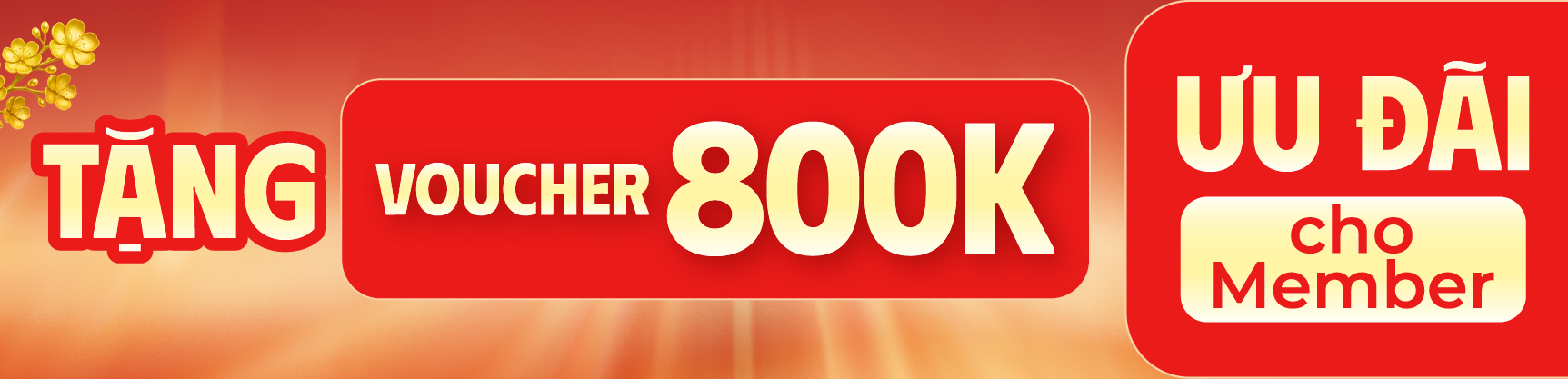 14.01 - 31.01 - Ưu đãi loa encore 2 mic giảm thêm đến 800K