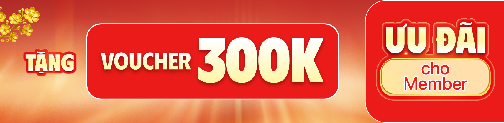 Tháng 1 - Ưu đãi loa Marshall chính hãng đến 300K