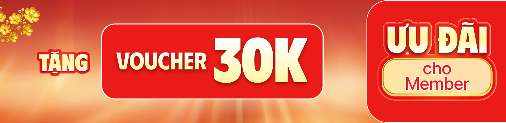 Tháng 1 : Ưu đãi mua tai nghe JBL tặng voucher 30K