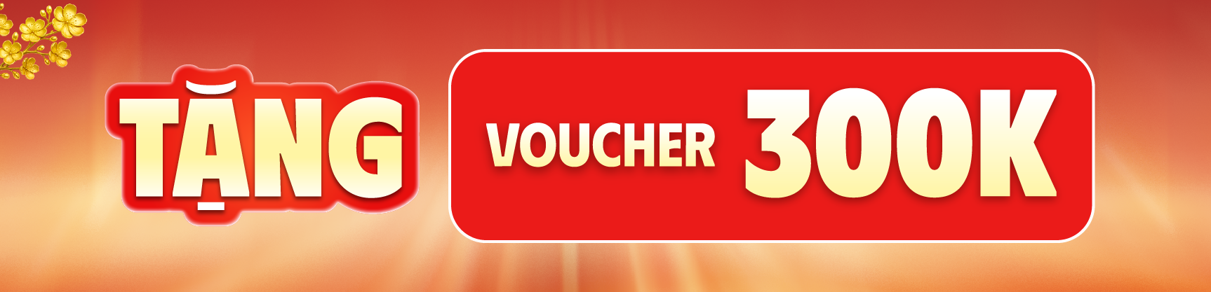 Tháng 1 - Ưu đãi sản phẩm Garmin chính hãng đến 300K