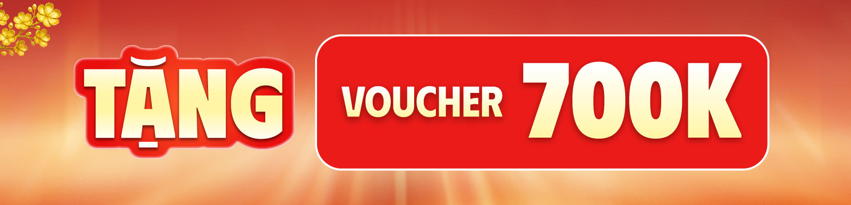 Tháng 1 - Ưu đãi sản phẩm Garmin chính hãng đến 700K