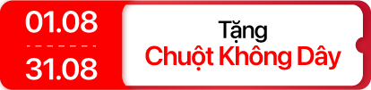 Tháng 8 - Laptop